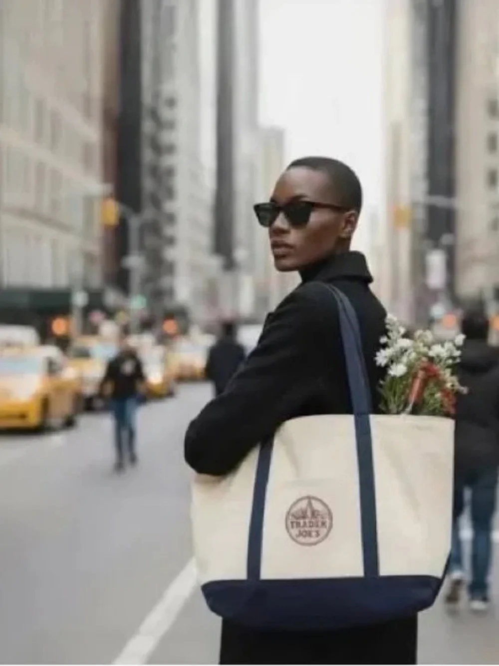 Trader Joe's Large Cream and Navy Canvas Tote Bag